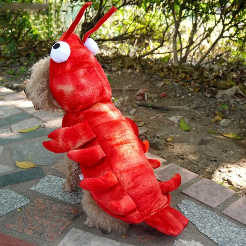 Hot and Fun Lobster Halloween Costume for Dogs